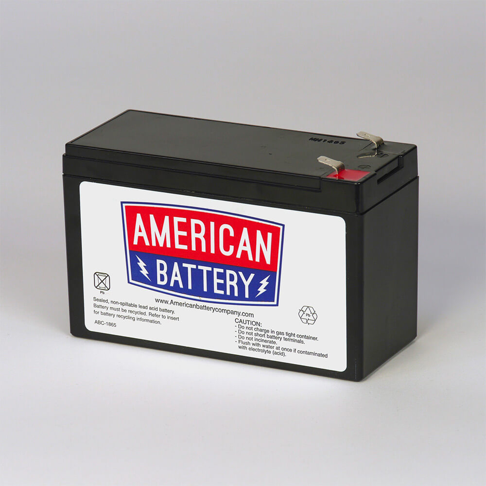 821-12-9-250 Individual Battery